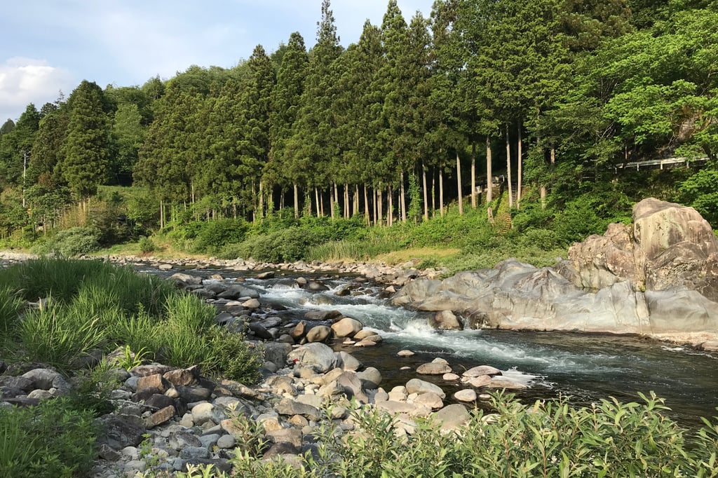 Higashishirakawa is a small village surrounded by trees and mountains in Gifu prefecture. Photo: Shutterstock Higashishirakawa is a small village surrounded by trees and mountains in Gifu prefecture. Photo: Shutterstock
