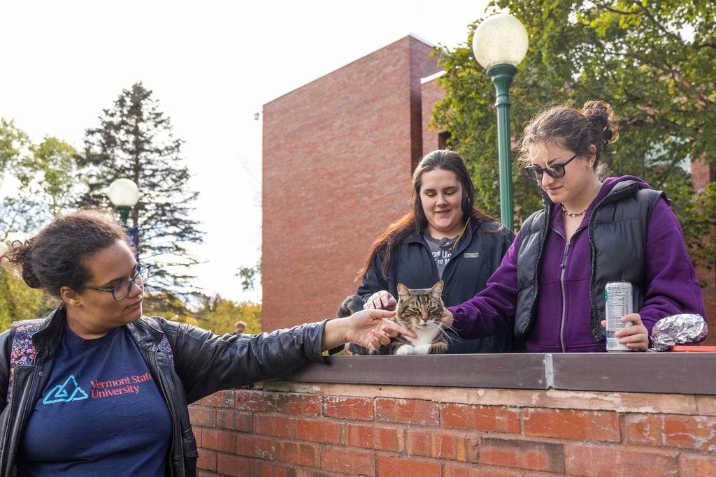 Students pet Max the Cat in front of Leavenworth Hall at Vermont State University Castleton in October. Photo: Vermont State University via AP Students pet Max the Cat in front of Leavenworth Hall at Vermont State University Castleton in October. Photo: Vermont State University via AP