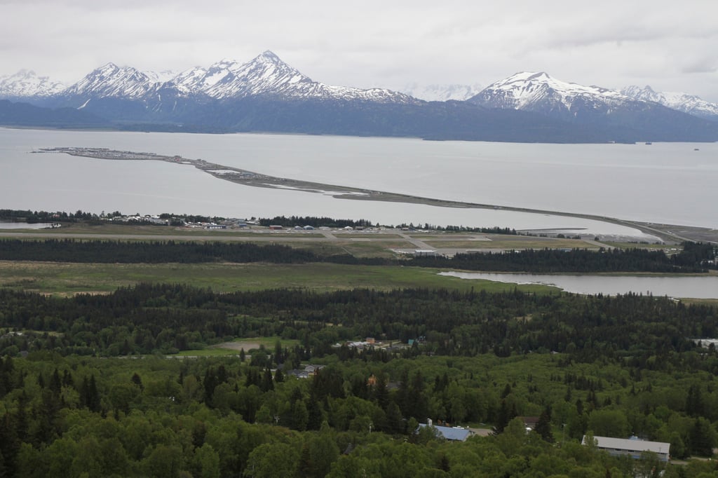 Homer, Alaska. Police said a 70-year-old man was attacked and killed by a moose in Homer on Sunday. File photo: AP