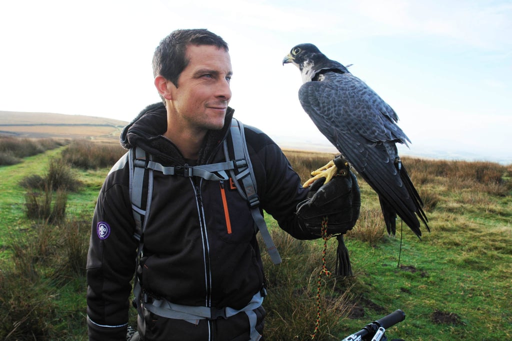 Bear Grylls abseils, rescues an endangered species and gets himself in danger in a flooding cave in an episode of Britain’s Biggest Adventure with Bear Grylls. Photo: ITV