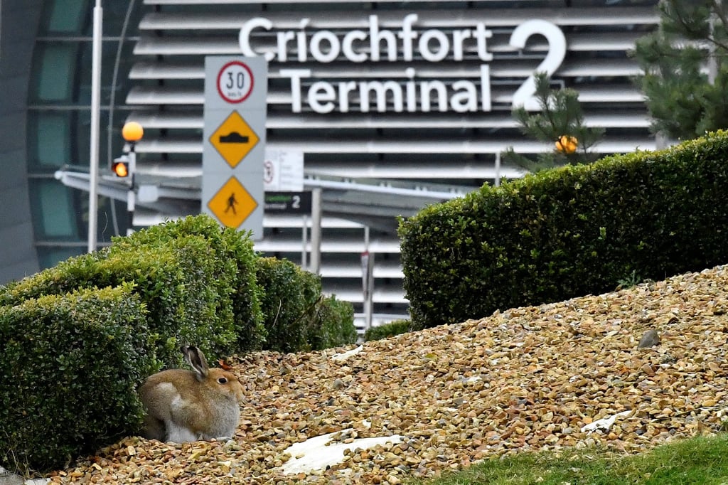 Dublin Airport in Dublin, Ireland. Photo: Reuters