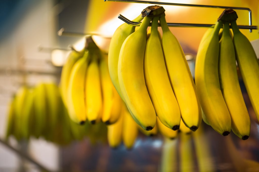 Eating bananas before drinking alcohol is a popular hangover cure. Photo: Shutterstock Eating bananas before drinking alcohol is a popular hangover cure. Photo: Shutterstock