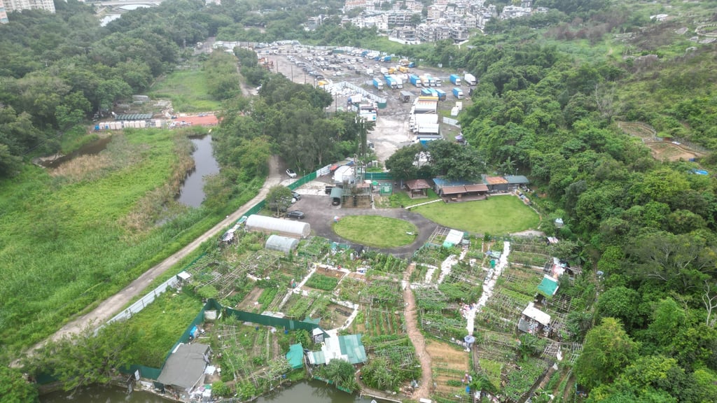 NT Green Garden farm has not lost any animals, its owner says. Photo: Sam Tsang NT Green Garden farm has not lost any animals, its owner says. Photo: Sam Tsang