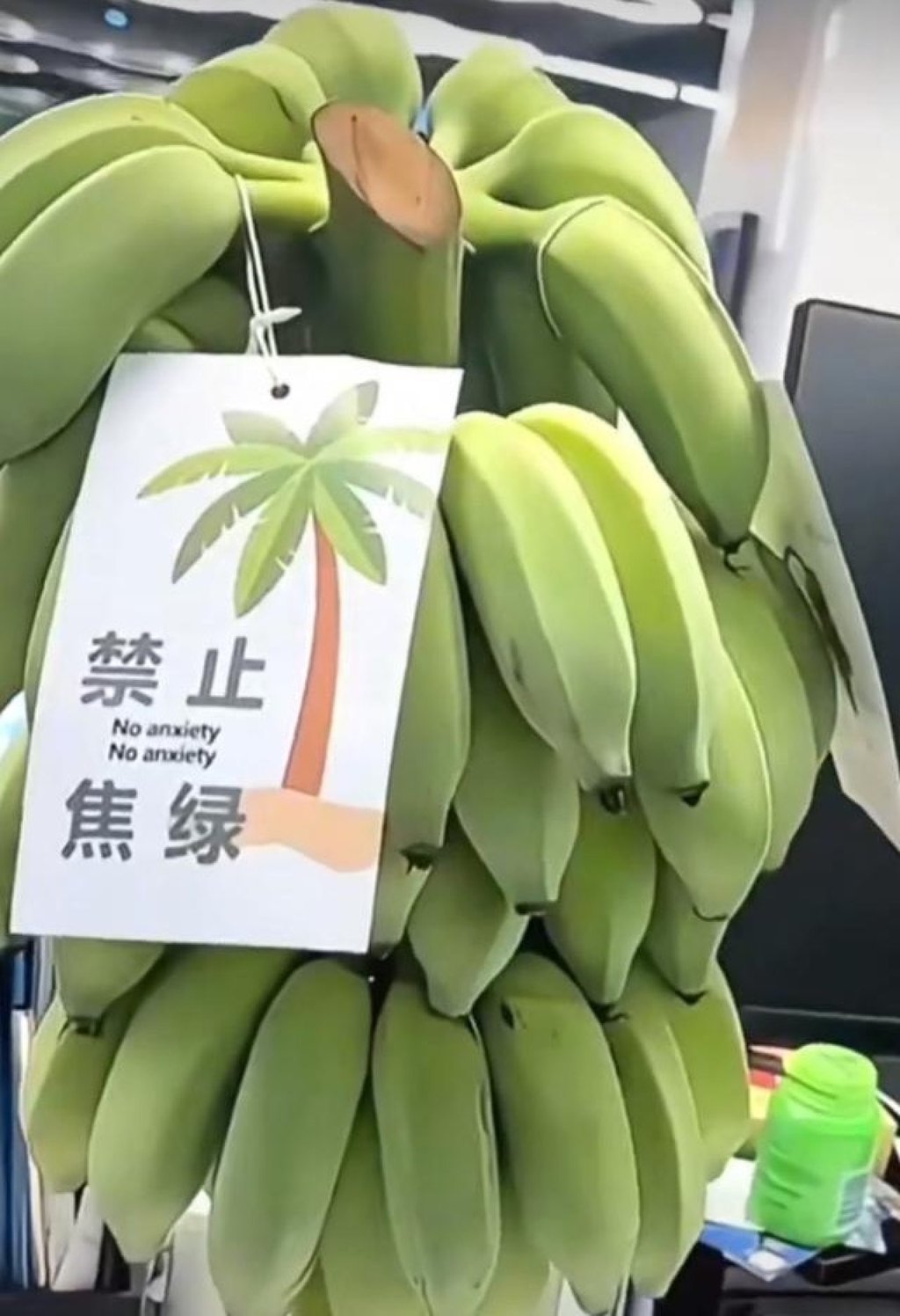 People are snapping up bunches of green bananas as a stress reliever they can cultivate on their office desk. Photo: news.china.com