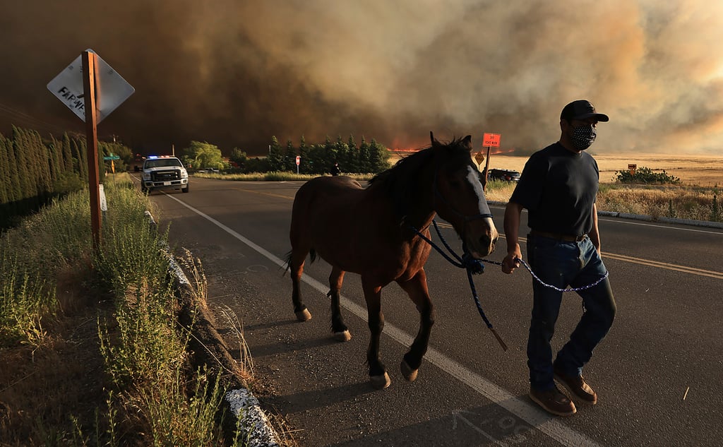 The Corral Fire bearing down on ranches west of Tracy, California. Photo: The Press Democrat via AP