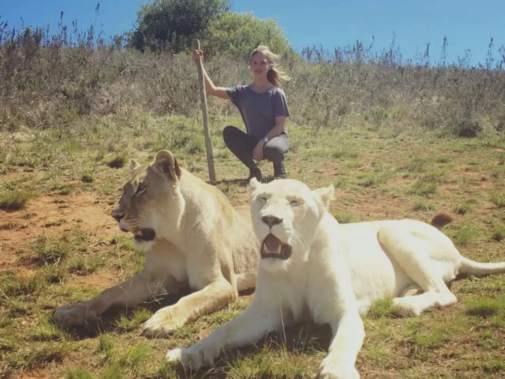 Melissa Cohen Biden, posing with some lionesses while on safari. Photo: Facebook Melissa Cohen Biden, posing with some lionesses while on safari. Photo: Facebook