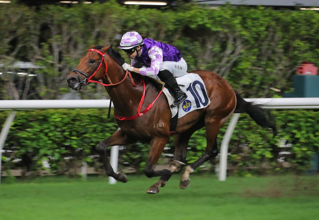 Lyle Hewitson riding Helene Warrior in Happy Valley, Hong Kong. Photo: Kenneth Chan. Lyle Hewitson riding Helene Warrior in Happy Valley, Hong Kong. Photo: Kenneth Chan.