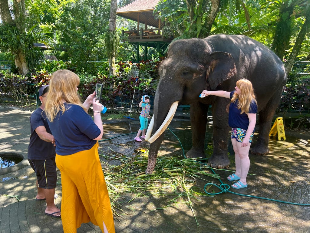 Tourists pose with an elephant at Mason’s Elephant Park and Lodge, Bali, Indonesia. Photo: Dave Smith