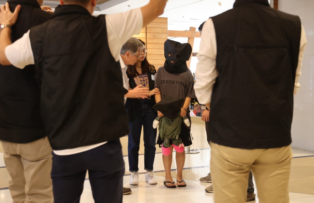 Officers had access to CCTV images of a suspect carrying the child out of the mall, which were also shared with the public through commercial and social media. Photo: Jelly Tse