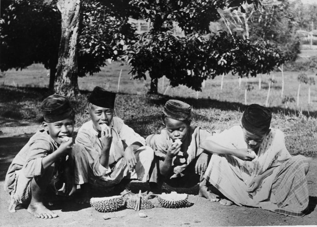 A group of Malaysian boys eat a durian, circa 1950. Photo: Getty Images A group of Malaysian boys eat a durian, circa 1950. Photo: Getty Images