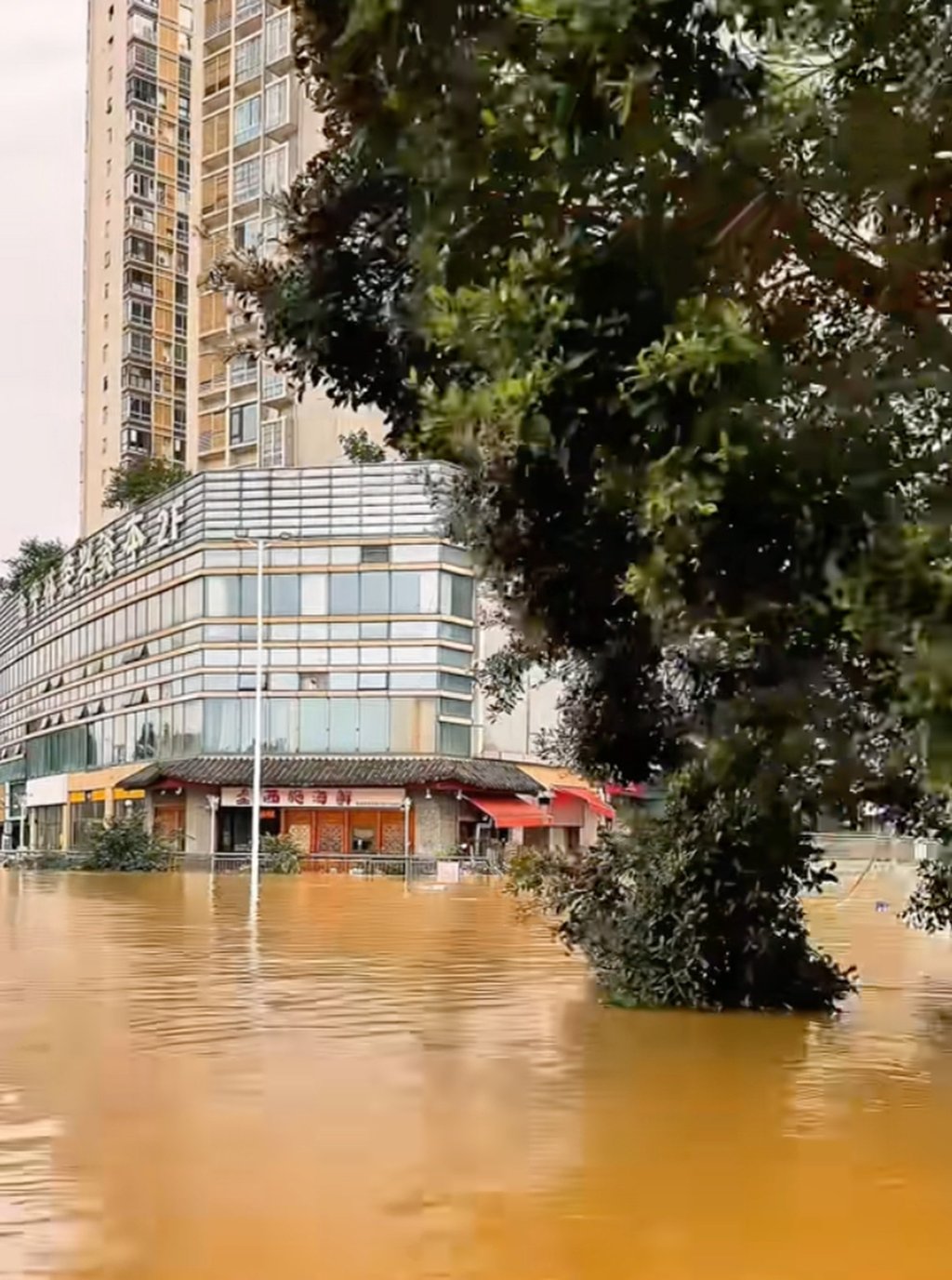 Zhang has been unrepentant about her actions during the floods which were among the worst in recent times. Photo: Douyin Zhang has been unrepentant about her actions during the floods which were among the worst in recent times. Photo: Douyin