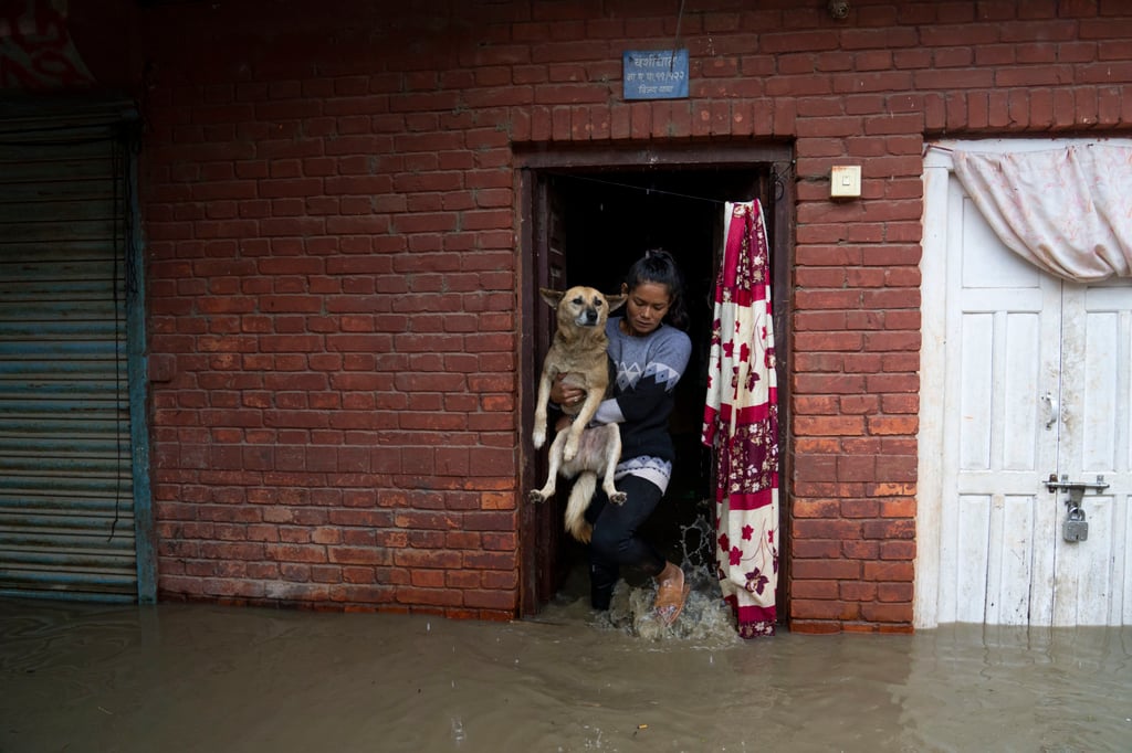 A woman carries her dog out from a flooded home in Kathmandu on July 6. Photo: AP A woman carries her dog out from a flooded home in Kathmandu on July 6. Photo: AP