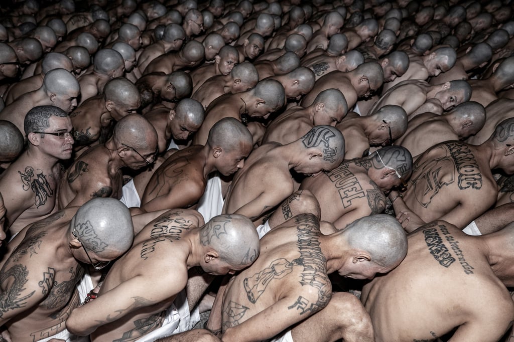 Gang members at El Salvador’s Terrorism Confinement Centre. Gang-busting President Nayib Bukele’s government has rounded up more than 80,000 presumed gangsters under a state of emergency that allows for arrests without a warrant. Photo: Reuters