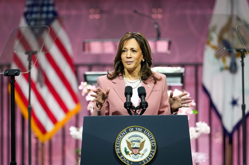 US Vice-President Kamala Harris. Photo: The Dallas Morning News / TNS