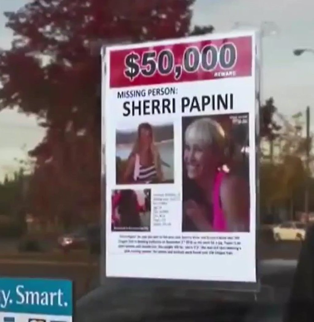 A still from the documentary Perfect Wife: The Mysterious Disappearance of Sherri Papini shows a missing person’s ad. Photo: IMDB