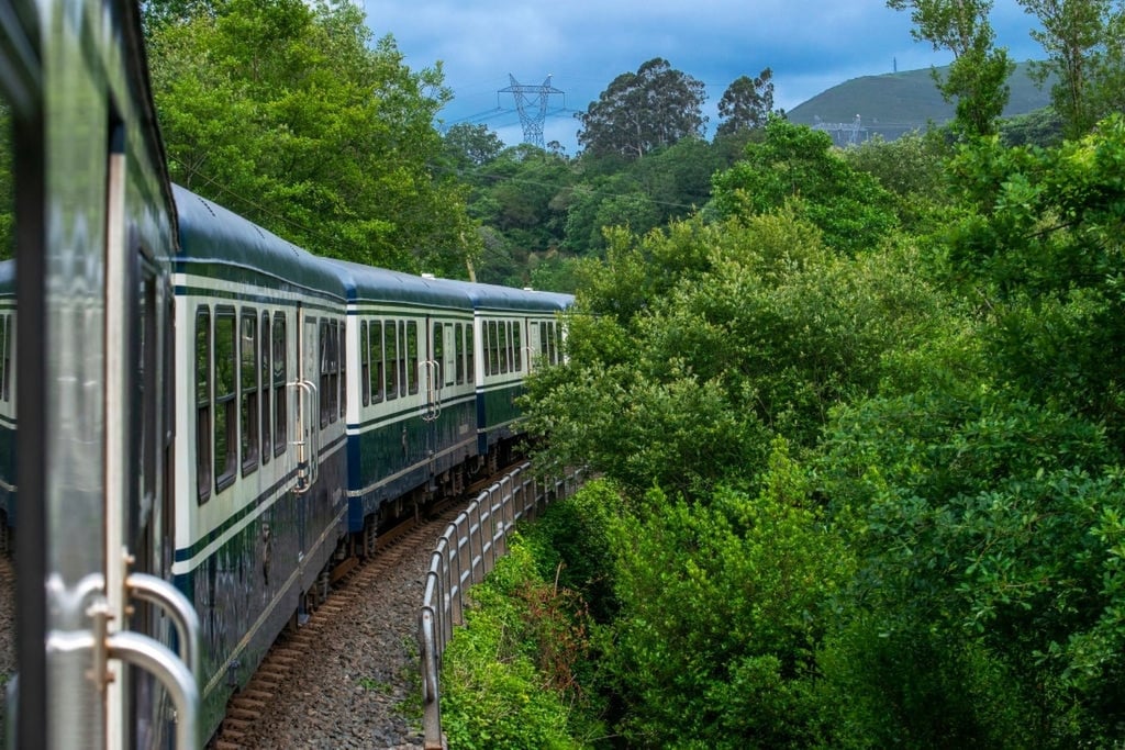 The train passes through woodland on its journey along the coast of northern Spain. Photo: Instagram/@robbreport The train passes through woodland on its journey along the coast of northern Spain. Photo: Instagram/@robbreport