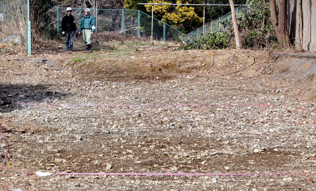 Pink tape marks the ground at the site of a former medical school in Tokyo in 2011, where bones were found. File photo: AP