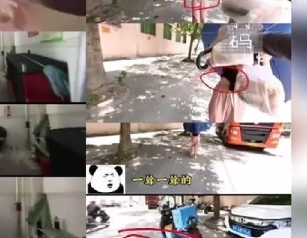 The blogger is thought to have used two aliases to post images like these online. Photo: Baidu The blogger is thought to have used two aliases to post images like these online. Photo: Baidu