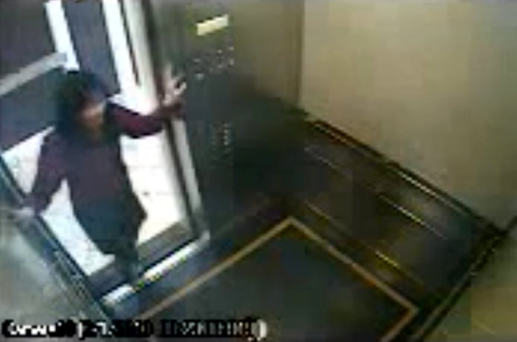 A still from security camera footage showing Elisa Lam Ho-yi entering a lift in the Cecil Hotel in Los Angeles, where she died in unexplained circumstances in 2013. Photo: YouTube