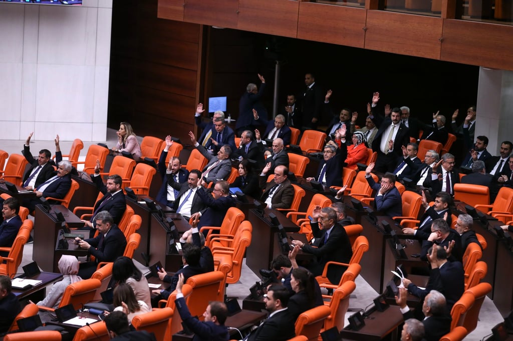 Members of the Turkish parliament vote during a session on a bill aimed at regulating the country’s large stray dog population, at the Grand National Assembly of Turkey in Ankara, Turkey, on July 29. Photo: EPA-EFE