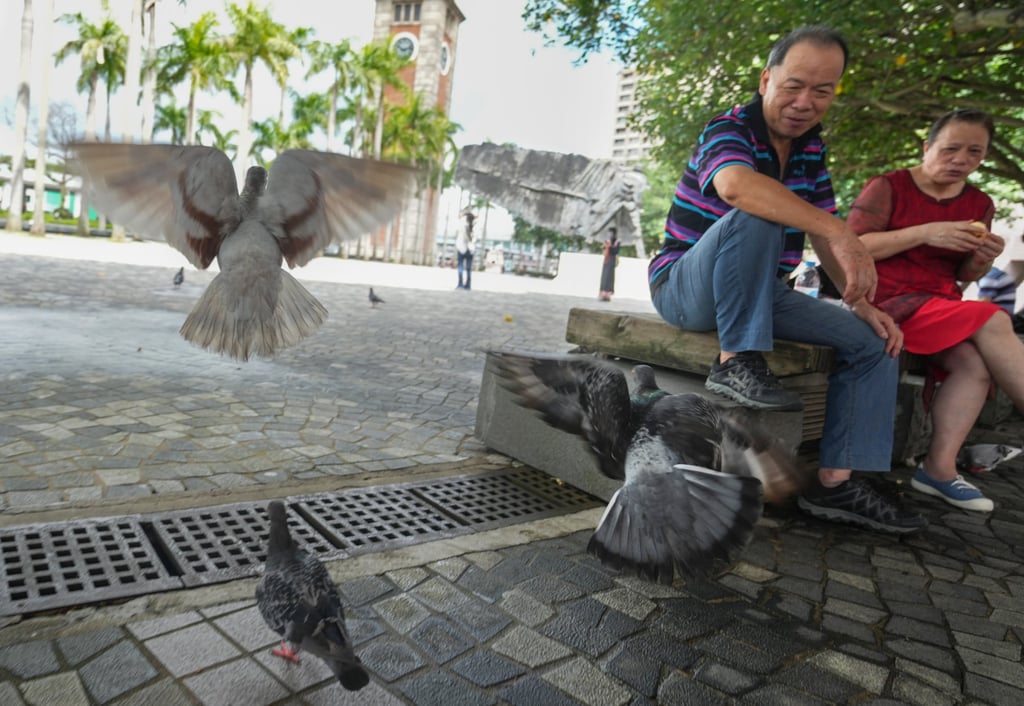 There are 17 “black spots” in Hong Kong where large gatherings of wild birds have raised environmental hygiene concerns. Photo: Sam Tsang