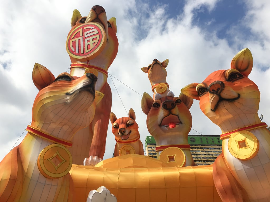 Superstition has it that people born in the Year of the Dog should not work with those born in the Year of the Dragon. Photo: Shutterstock Superstition has it that people born in the Year of the Dog should not work with those born in the Year of the Dragon. Photo: Shutterstock