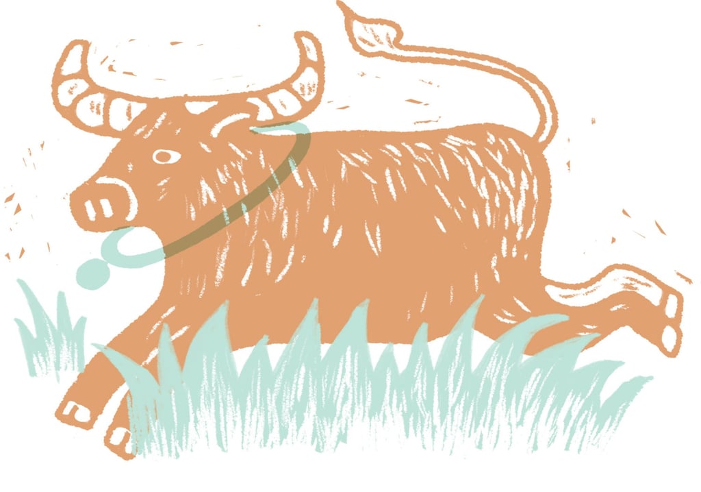 Ox years are 1961, 1973, 1985, 1997 and 2009