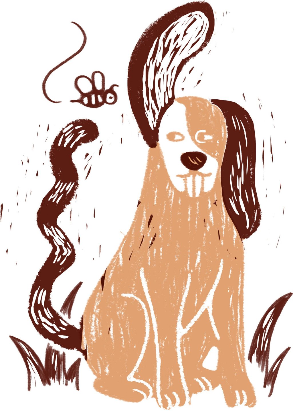 Dog years are 1958, 1970, 1982, 1994, 2006 and 2018