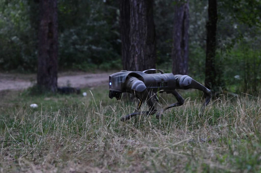 Stealthy and agile, robot dogs could soon become a common sight on the front in Ukraine, replacing soldiers for perilous missions like spying on Russian trenches or detecting mines. Photo: AFP