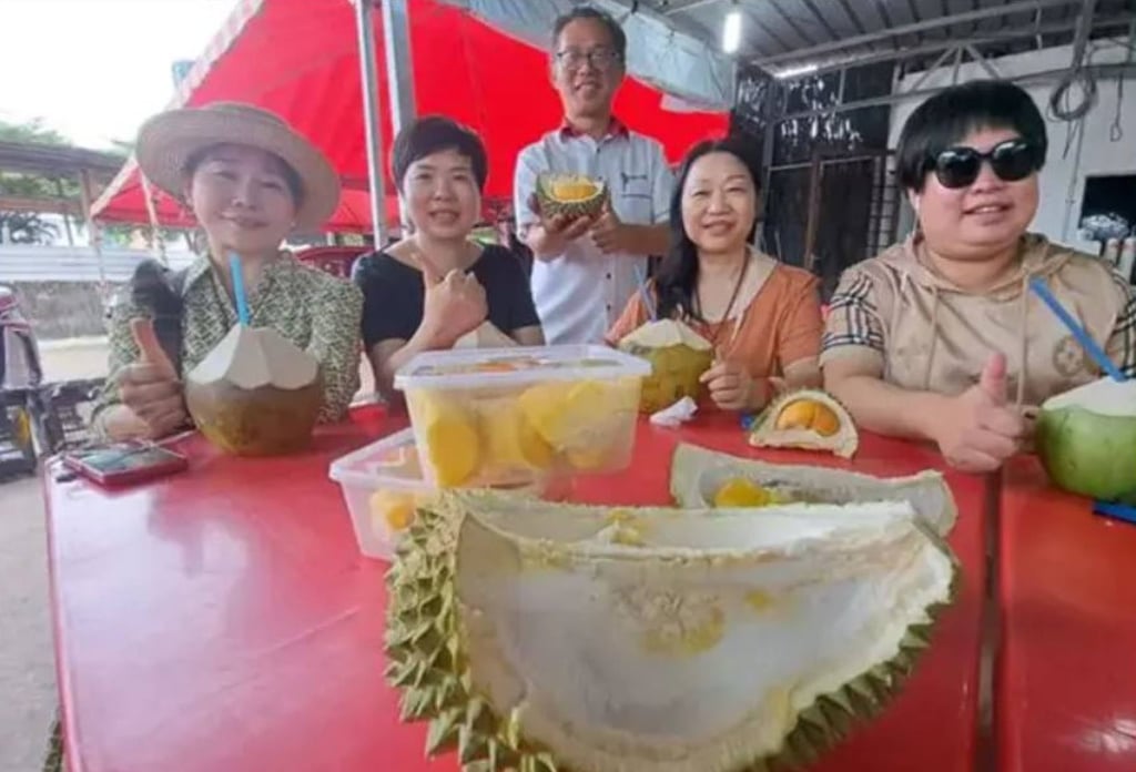 Turistas chinos devoran durián en Malaca, Malasia, mientras Fan Bingbing alimenta su locura
