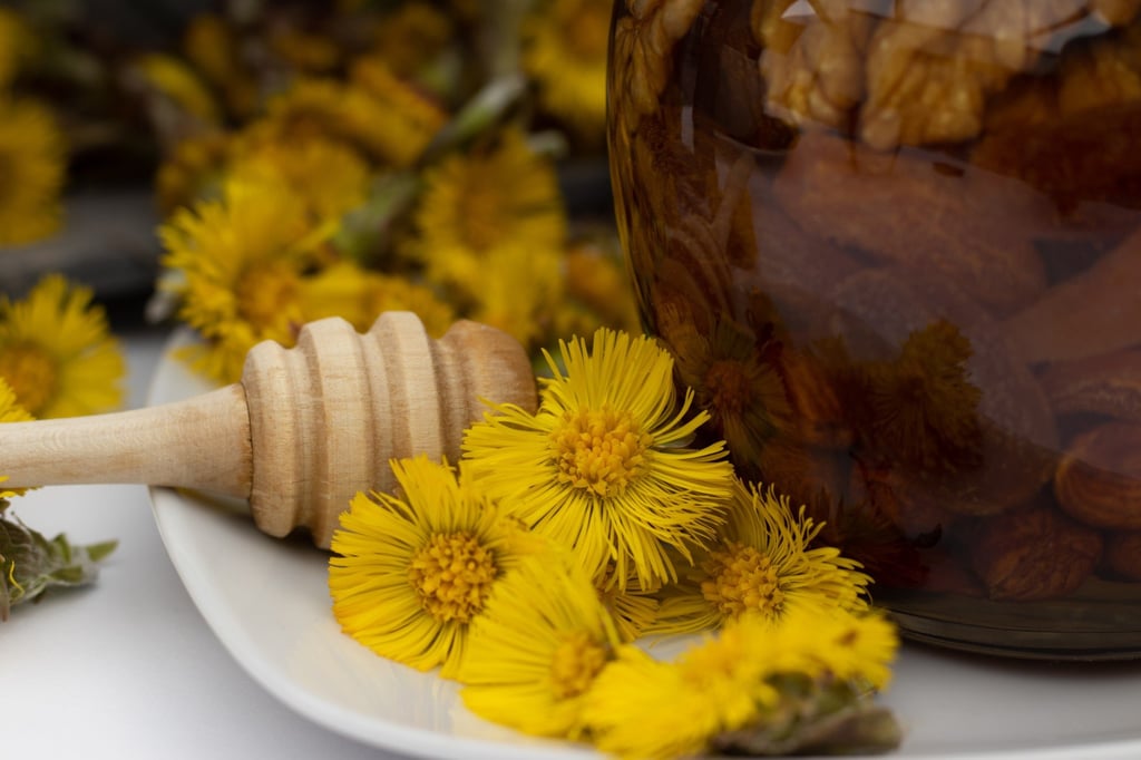 Coltsfoot flowers, which are sometimes confused with dandelions, are seen alongside honey. Photo: Shutterstock
