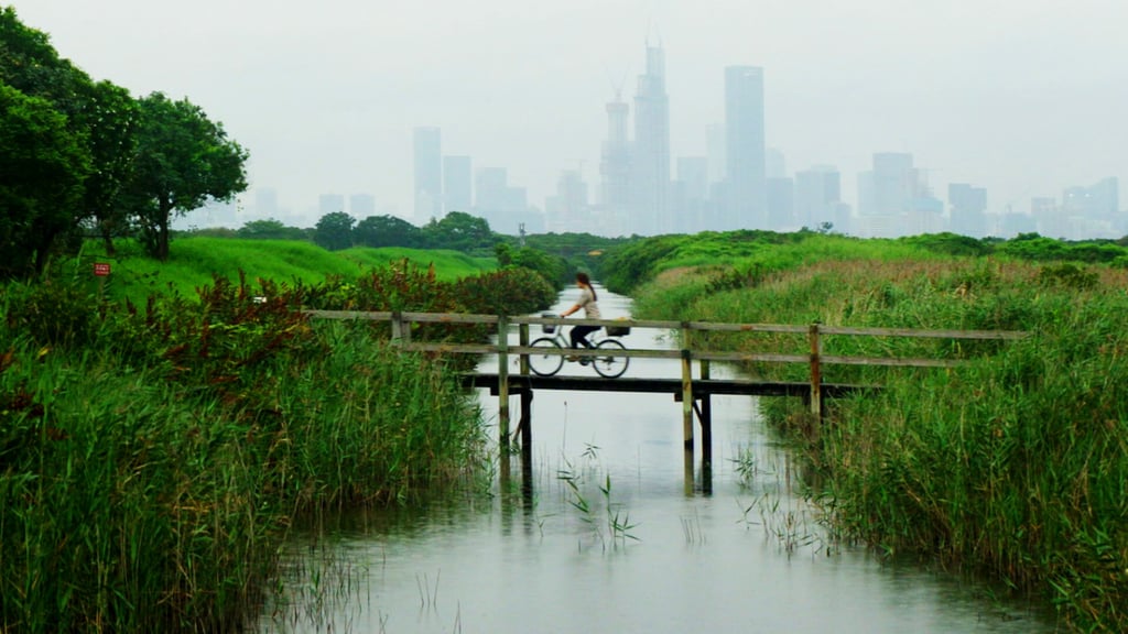 Hong Kong’s Mai Po Nature Reserve, near Yuen Long, is home to a variety of flora and fauna, including the Eurasian otter. Hong Kong’s Mai Po Nature Reserve, near Yuen Long, is home to a variety of flora and fauna, including the Eurasian otter.