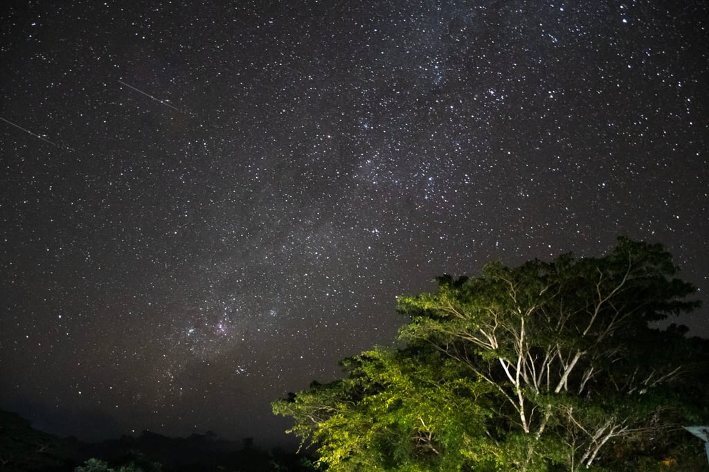 The starry night sky seen from Webi village. Photo: Avantika Chaturvedi