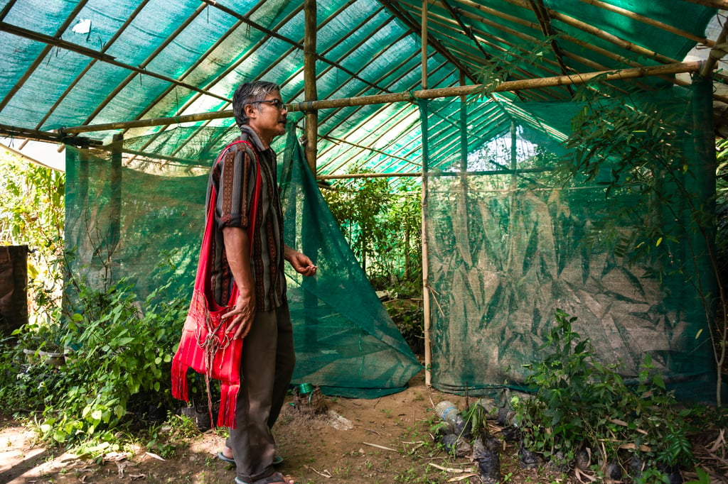 John walks around his backyard medicinal nursery. Photo: Avantika Chaturvedi