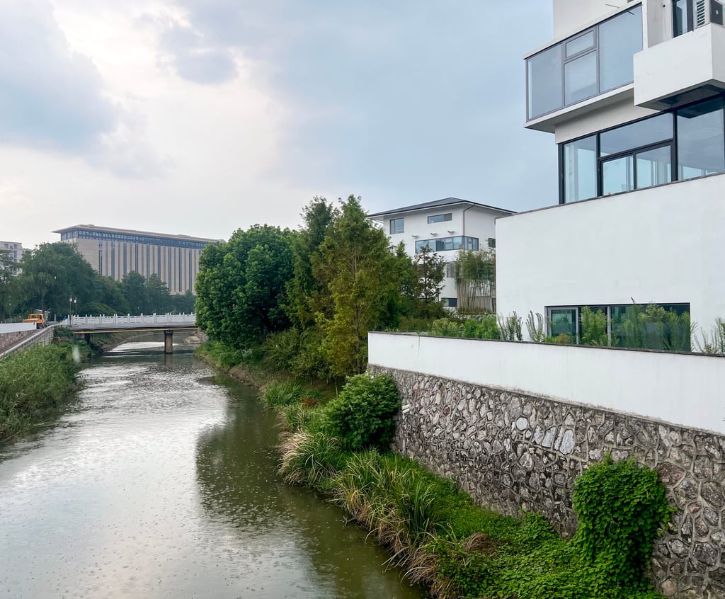 The quiet, resort-like building complex where Game Science developers work is surrounded by greenery in a corner of the city away from Hangzhou’s downtown bustle. Photo: Ann Cao