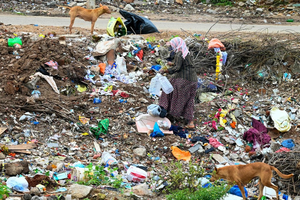 A ragpicker collects plastic cans at a landfill in Hyderabad on Friday. Photo: AFP A ragpicker collects plastic cans at a landfill in Hyderabad on Friday. Photo: AFP