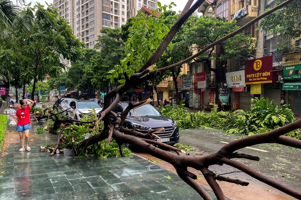 A woman walks past a fallen tree following the impact of Typhoon Yagi, in Hanoi, Vietnam on September 8. Photo: Reuters A woman walks past a fallen tree following the impact of Typhoon Yagi, in Hanoi, Vietnam on September 8. Photo: Reuters
