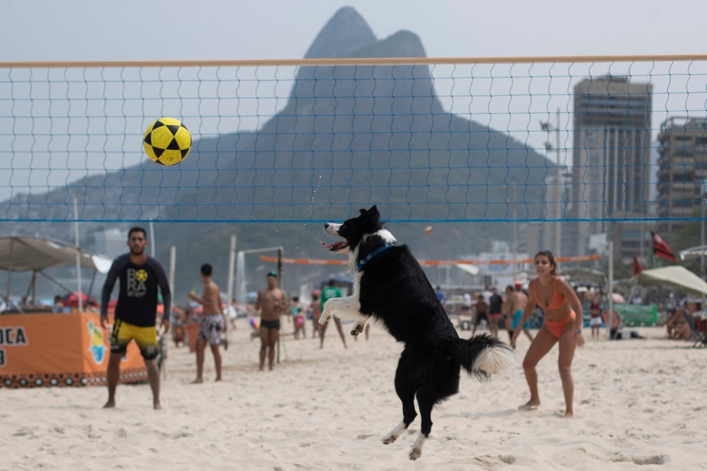 Floki plays footvolley on Leblon Beach in Rio de Janeiro, on Sunday, September 8, 2024. Photo: AP