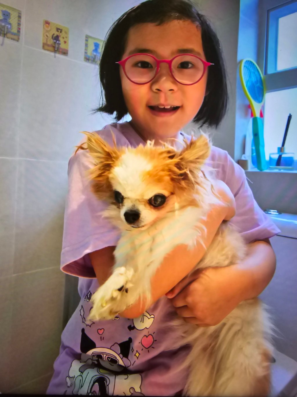 Charlotte memiliki seekor Chihuahua dan namanya Nosy. Foto: Selebaran