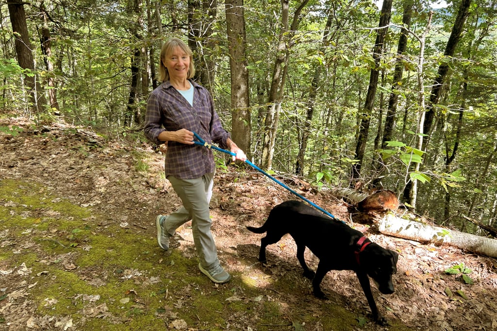 Yoga instructor Susannah Johnston walks her dog Ellie. She has been injured three times over the years while dog walking. Photo: AP Yoga instructor Susannah Johnston walks her dog Ellie. She has been injured three times over the years while dog walking. Photo: AP