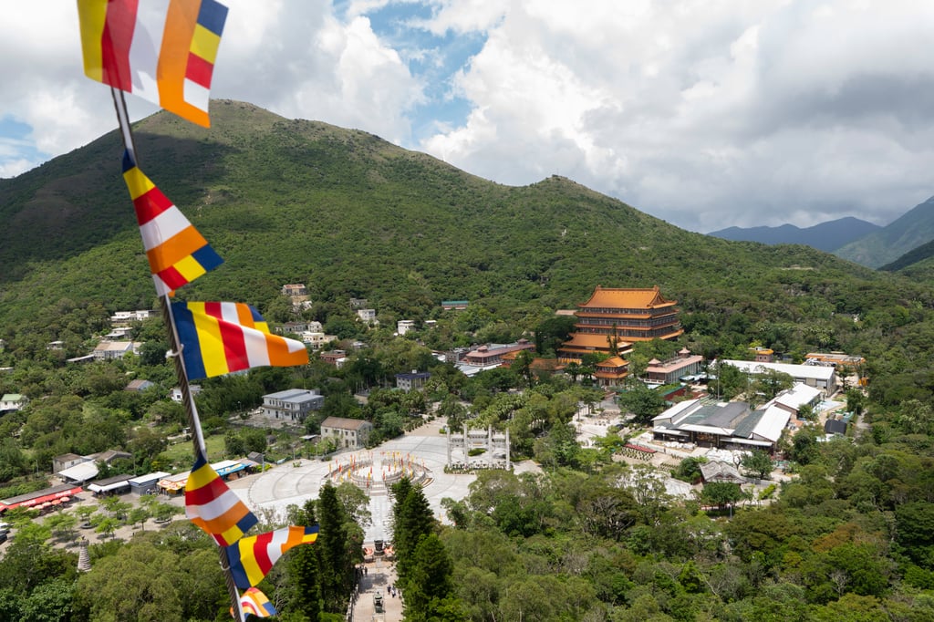 The dogs were allegedly taken from the Po Lin Monastery and abandoned on a hillside. Photo: Robert Ng