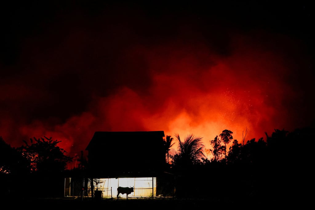 A farm near a forest fire in Labrea, Amazonas state, Brazil. Photo: Reuters