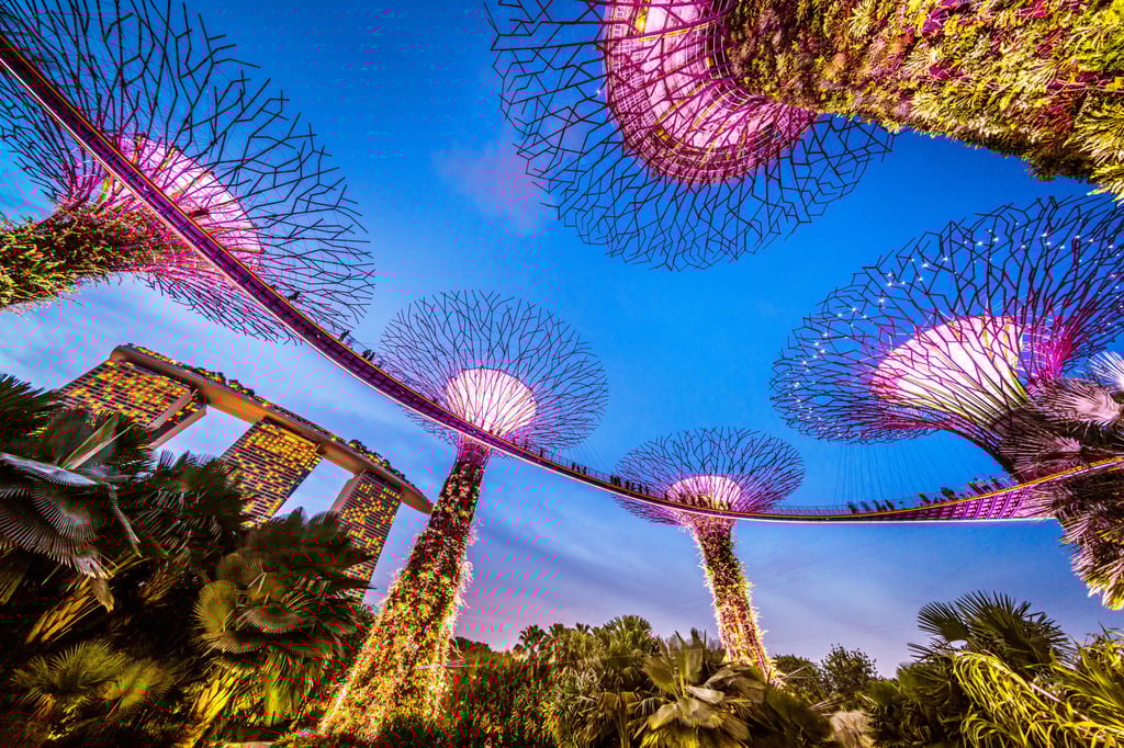 Gardens by the Bay in Singapore. Even the ultra-modern city state is not immune to the allure of cults. Photo: Getty Images Gardens by the Bay in Singapore. Even the ultra-modern city state is not immune to the allure of cults. Photo: Getty Images