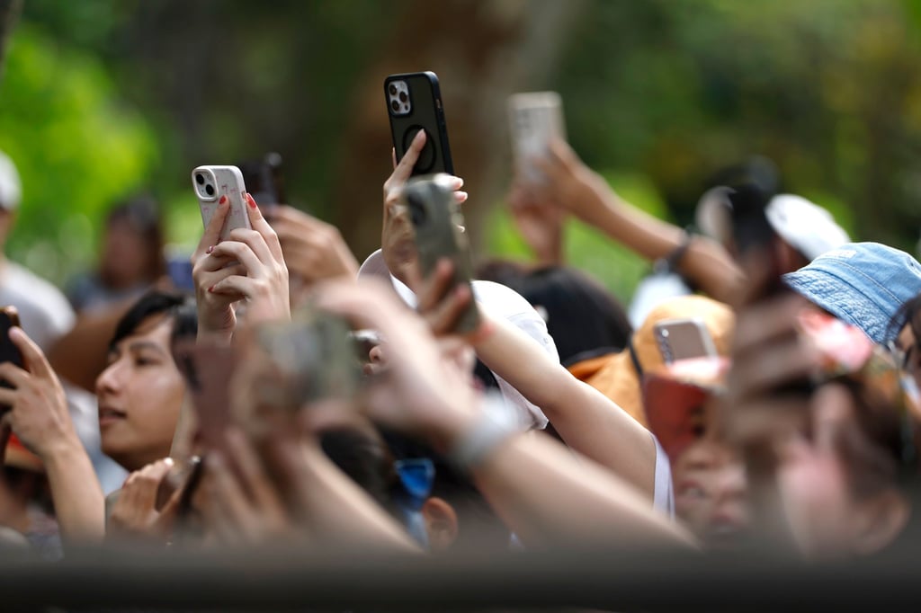 The popularity of Moo Deng resulted in a 50 per cent increase in visitors at Khao Kheow Open Zoo between September 1-19. Photo: EPA-EFE The popularity of Moo Deng resulted in a 50 per cent increase in visitors at Khao Kheow Open Zoo between September 1-19. Photo: EPA-EFE