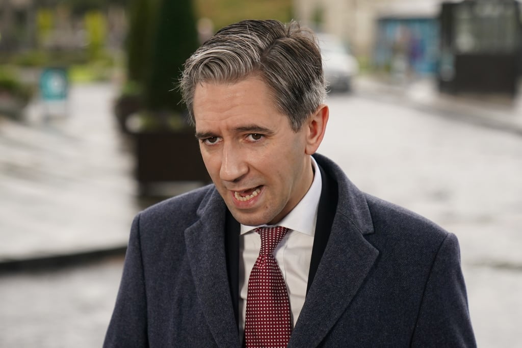 Simon Harris, Ireland’s prime minister. File photo: dpa