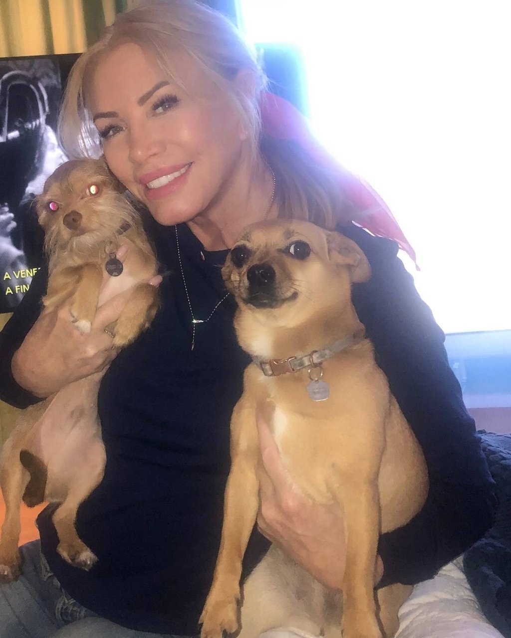 Shannon Tweed with her dogs Chicken and Waffles. Photo: @shannonleetweedsimmons/Instagram Shannon Tweed with her dogs Chicken and Waffles. Photo: @shannonleetweedsimmons/Instagram