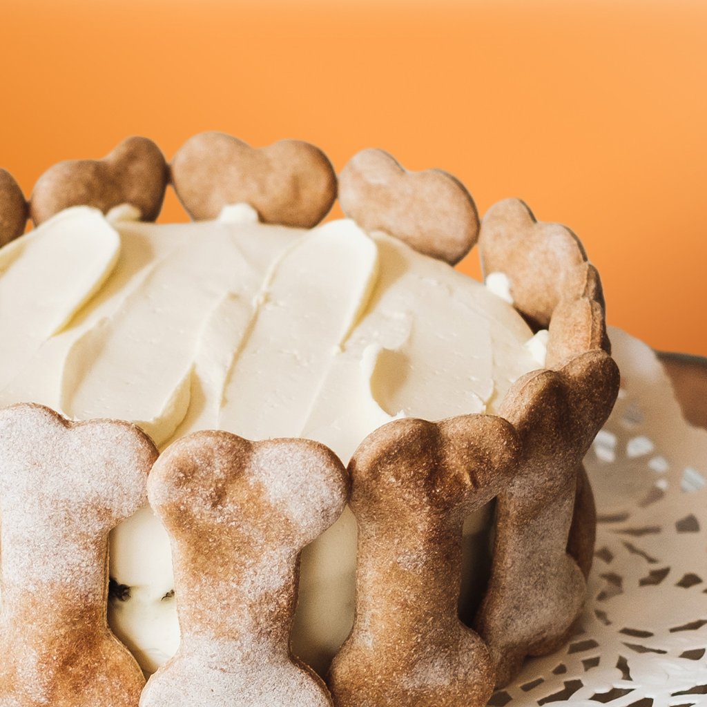 Butter’s Doggy Cake. Photo: Handout Butter’s Doggy Cake. Photo: Handout