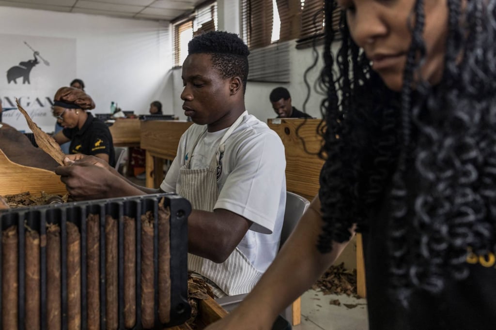 Mozambican cigar rollers, also known as “torcedores”, assemble cigars at the Bongani Cigars workshop in Maputo, Mozambique. Photo: AFP