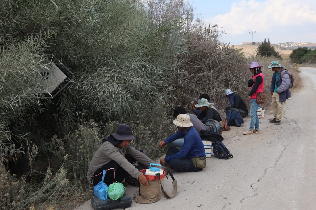 Agriculture workers near the town of Metula, northern Israel, on Thursday. Photo: Xinhua