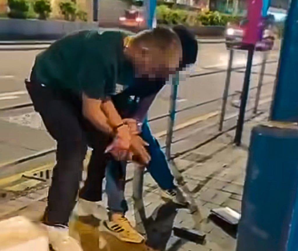 Bystanders screamed for the suspect to stop his attack. The 36-year-old fled the scene but was later arrested at his home in Hung Hom. Photo: Handout
